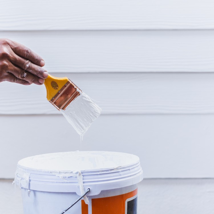 Painting and remodeling services in Greenwood Village, CO